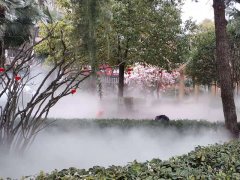 郑州汝河路小学人工造雾系统